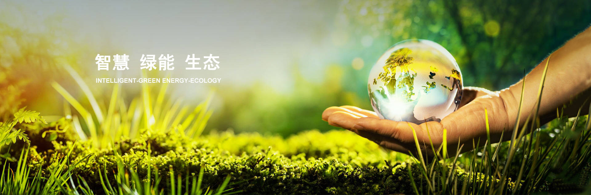 amjs澳金沙门线路(中国)有限公司首页